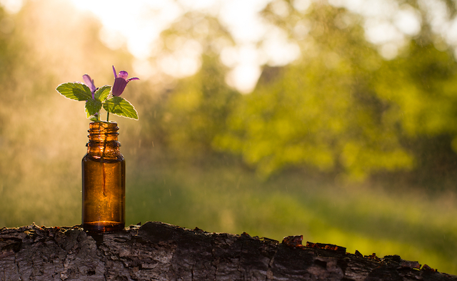 Homeopathic clinic